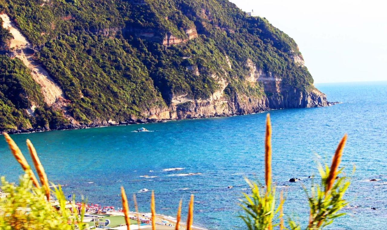 Appartamenti Baia Di Citara Forio di Ischia 외부 사진